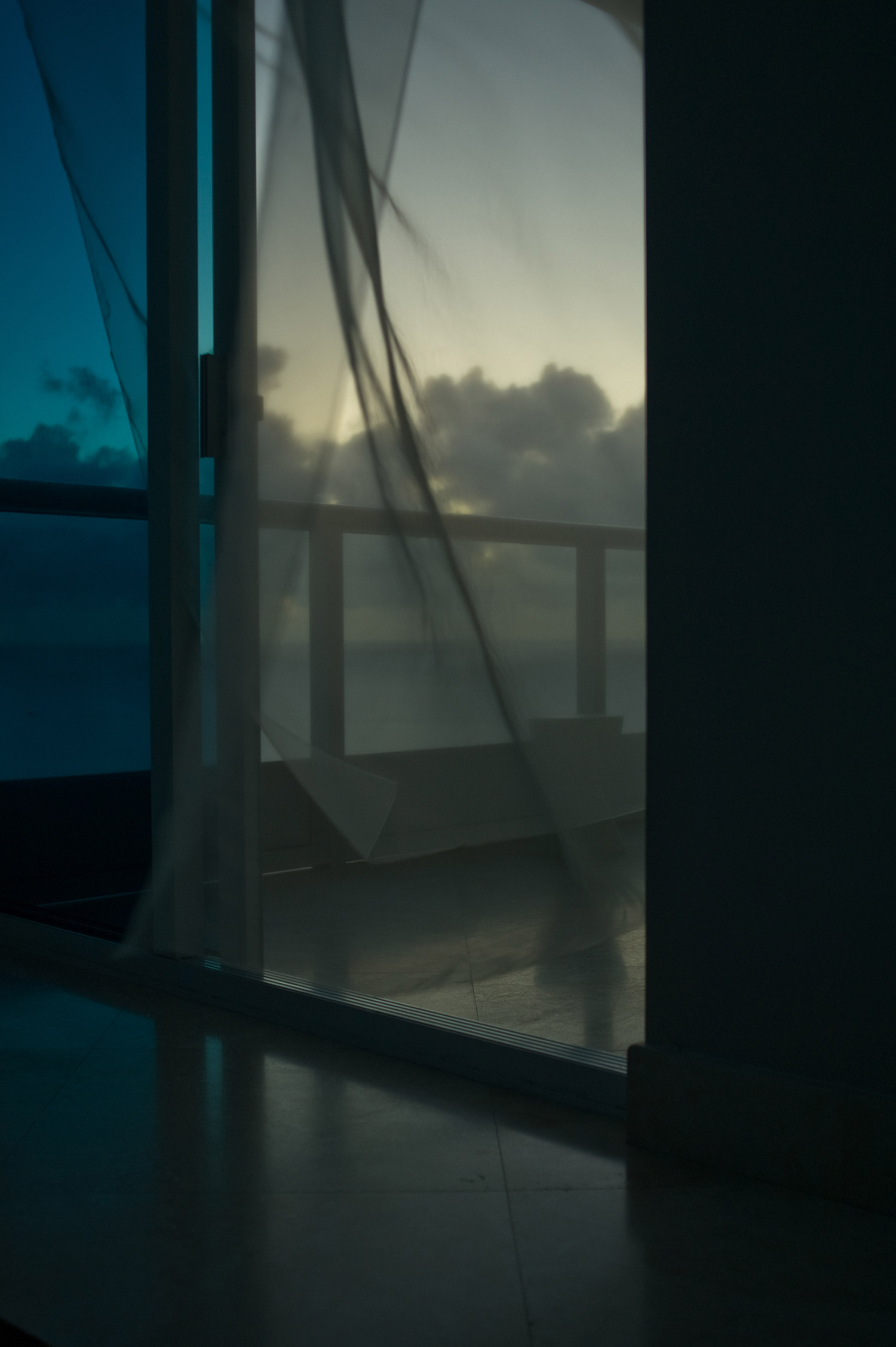 © Jo Ann Chaus © Jo Ann Chaus