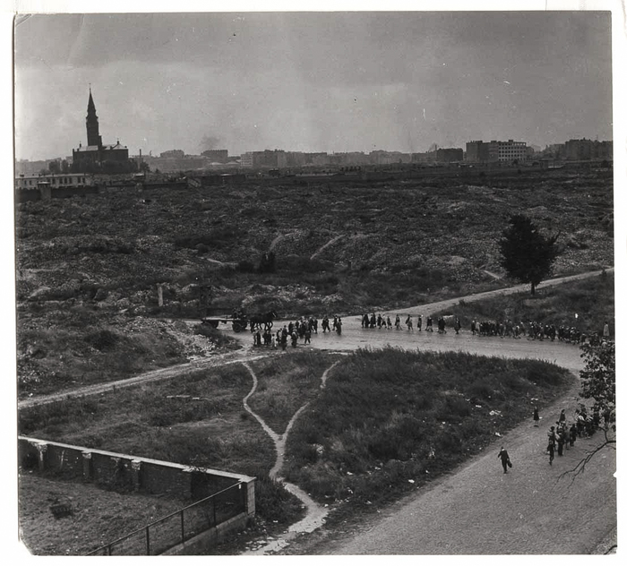 [Children walking through the ruins of the former Ghetto, Warsaw, Poland]