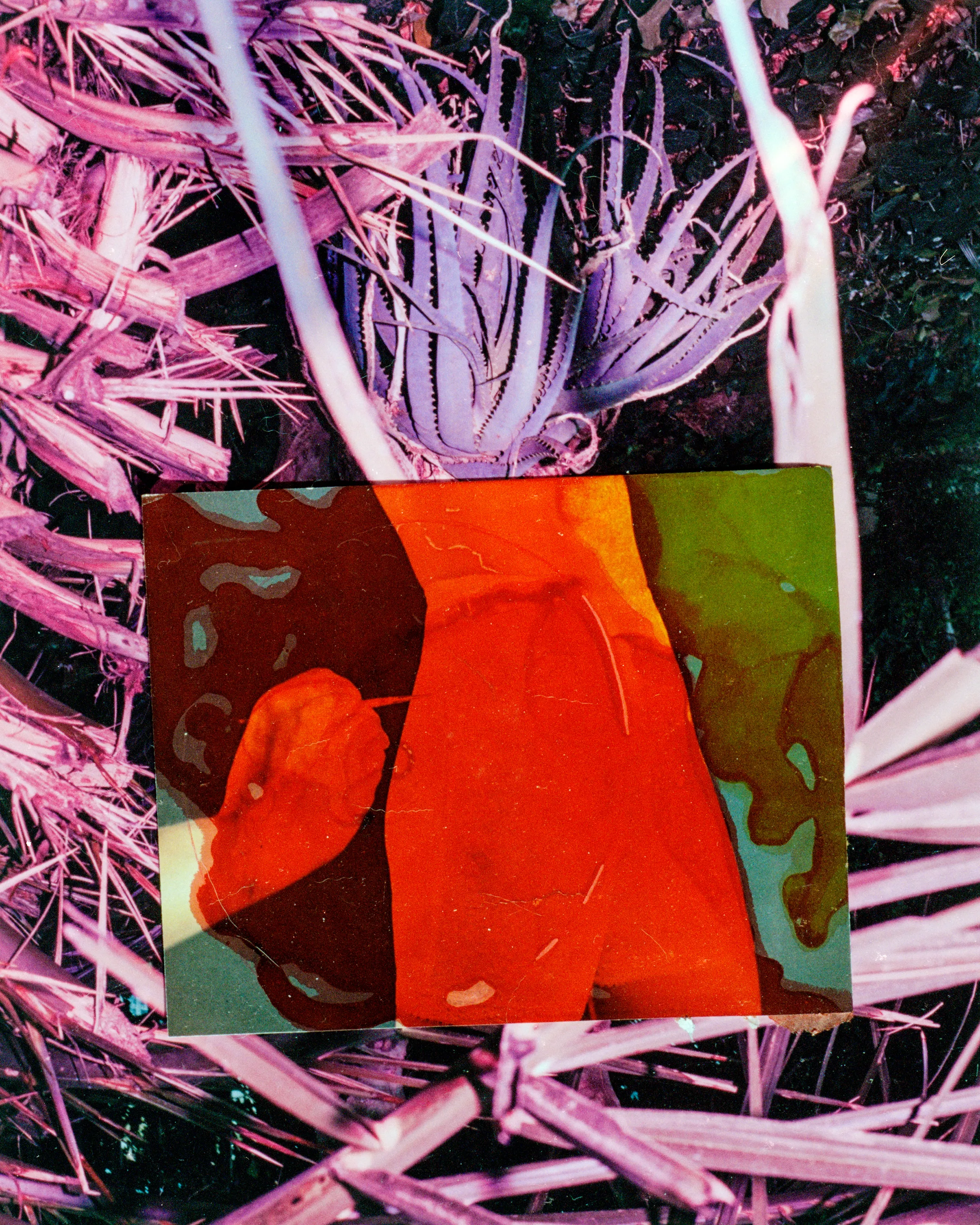 color photo collage